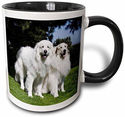 

3dRose mug_142977_4 Two Great Pyrenees Dogs in California US05 ZMU0308 Zandria Muench Beraldo Two Tone Black, 11 oz, Black/White Ceramic Mug(60 ml), Multicolor