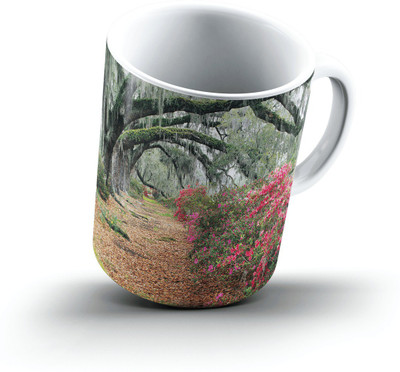 

Ucard Landscape2572990 Bone China, Ceramic, Porcelain Mug(325 ml)