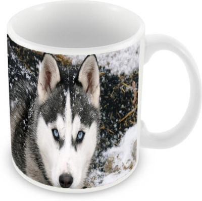 

Sleep Nature's SN-MG-664 Ceramic Mug(350 ml), Multicolor