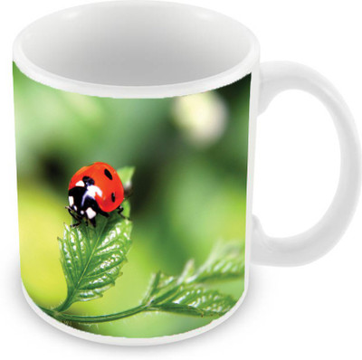 

Sleep Nature's SN-MG-1810 Ceramic Mug(350 ml), Green