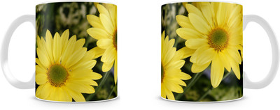 

Mott2 Hswm002 (49)s Ceramic Mug(350 ml)