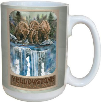 

Tree-Free Greetings Greetings lm43001 Scenic Yellowstone National Park Bear Cubs at Falls by David Bartholet Ceramic, 15-Ounce, Multicolored Ceramic Mug(60 ml), Multicolor