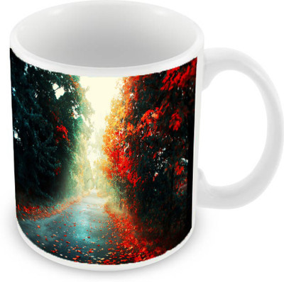

Sleep Nature's SN-MG-747 Ceramic Mug(350 ml), Multicolor