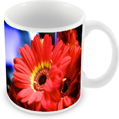 

Sleep Nature's SN-MG-42 Ceramic Mug(350 ml), Red