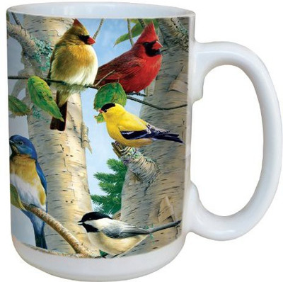 

Tree-Free Greetings Greetings 79140 Favorite Songbirds by James Hautman 15-Ounce Ceramic with Full-Sized Handle, Multicolored Ceramic Mug(60 ml), Multicolor