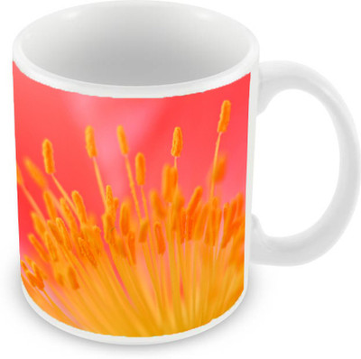 

Sleep Nature's SN-MG-1563 Ceramic Mug(350 ml), Yellow