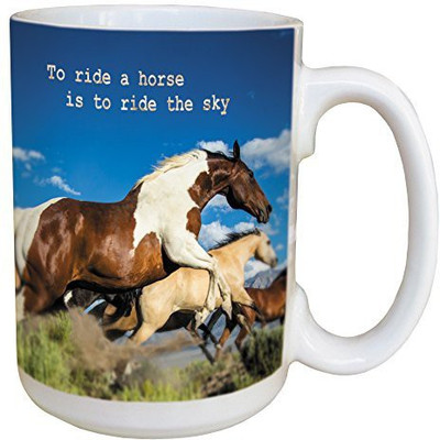 

Tree-Free Greetings Greetings 46145 David Stoecklein Ride the Sky Ceramic with Full-Sized Handle, 15-Ounce Ceramic Mug(60 ml), Multicolor