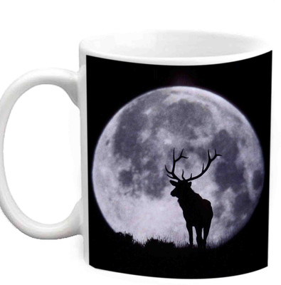 

Raj Laxmi Beautiful moon sheen White Ceramic Mug(350 ml)