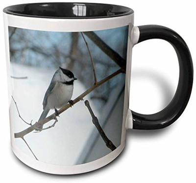 

3dRose Chicadee in A Tree Two Tone Black, 11 oz, Black/White Ceramic Mug(60 ml), Multicolor