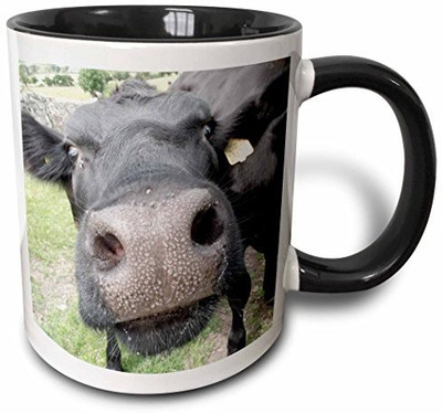 

3dRose mug_46181_4 Portrait of Cow Two Tone Black, 11 oz, Black/White Ceramic Mug(60 ml), Multicolor