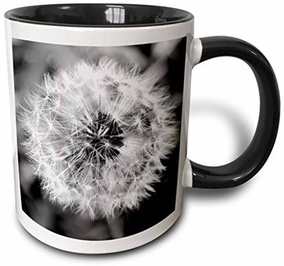 

3dRose mug_51762_4 Black and White Dandelion Puff Two Tone Black, 11 oz, Black/White Ceramic Mug(60 ml)