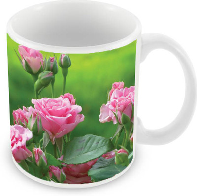 

Sleep Nature's SN-MG-2758 Ceramic Mug(350 ml), Multicolor