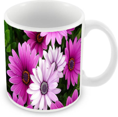 

Sleep Nature's SN-MG-974 Ceramic Mug(350 ml), Pink