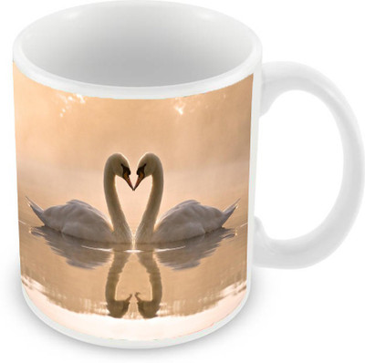 

Sleep Nature's SN-MG-1715 Ceramic Mug(350 ml), Multicolor