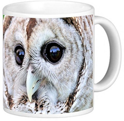Rikki Knight LLC Knight Photo Quality Ceramic Coffee, 11 oz, Barred Owl Ceramic Mug(60 ml), Multicolor