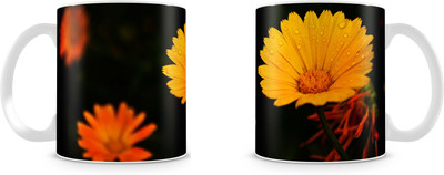 

Mott2 Hswm002 (12)s Ceramic Mug(350 ml)