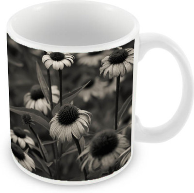 

Sleep Nature's SN-MG-2242 Ceramic Mug(350 ml), Black