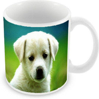 

Sleep Nature's SN-MG-1027 Ceramic Mug(350 ml), Multicolor