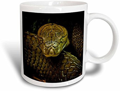 

3dRose mug_55966_2 Cobra Snake Green Coiled Ceramic, 15-Ounce Ceramic Mug(60 ml)