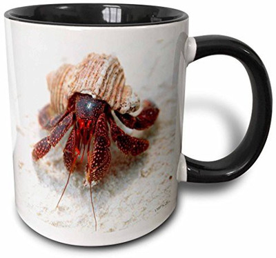 

3dRose mug_46361_4 Hermit Crab, Coenobita Perlatus, Bird I, Mili, Marshall Islands N Pacific Two Tone Black, 11 oz, Black/White Ceramic Mug(60 ml), Multicolor