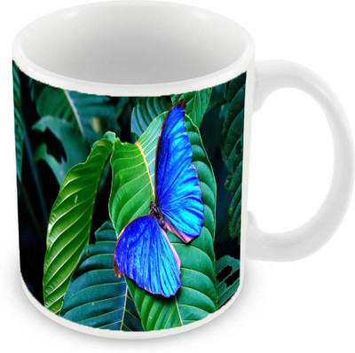 

Sleep Nature's SN-MG-964 Ceramic Mug(350 ml), Multicolor