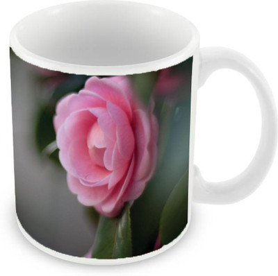 

Sleep Nature's SN-MG-1926 Ceramic Mug(350 ml), Multicolor