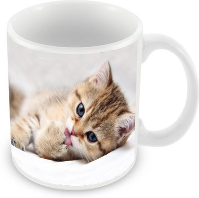 

Sleep Nature's SN-MG-2115 Ceramic Mug(350 ml), Multicolor