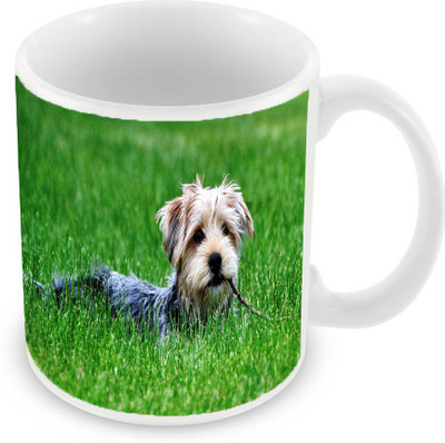 

Sleep Nature's SN-MG-615 Ceramic Mug(350 ml), Green