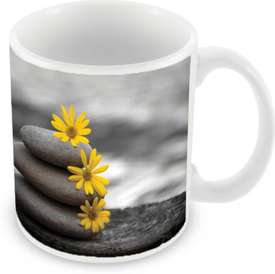 

Sleep Nature's SN-MG-1817 Ceramic Mug(350 ml), Multicolor