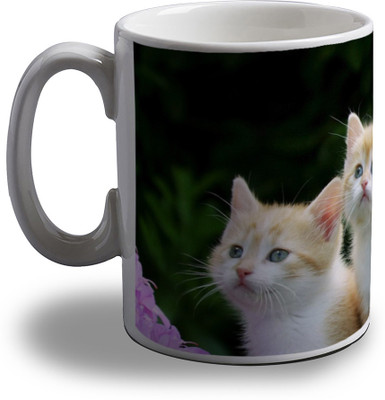 

Artifa Cute Cats Looking Porcelain, Ceramic Mug(350 ml), Multicolor