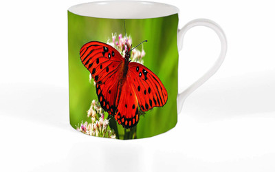 

Route To Root RTRMG_101 Ceramic Mug(250 ml), Multicolor