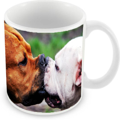 

Sleep Nature's SN-MG-829 Ceramic Mug(350 ml), Multicolor