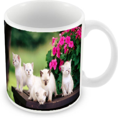 

Sleep Nature's SN-MG-1032 Ceramic Mug(350 ml), Multicolor