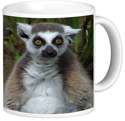 

Rikki Knight LLC Knight Photo Quality Ceramic Coffee, 11 oz, Lemur Ceramic Mug(60 ml), Multicolor