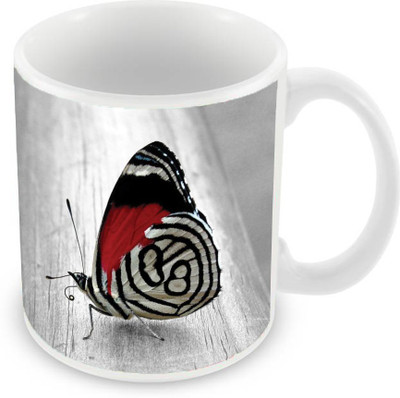 

Sleep Nature's SN-MG-2103 Ceramic Mug(350 ml), Multicolor