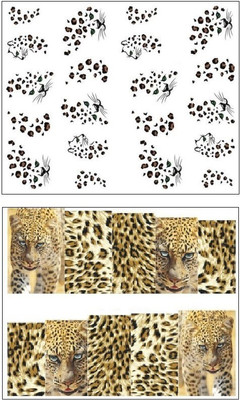 

Jenna Manicure Water Transfer Nail Art Decals Stickers- Sapphire Series NR-097(Multicolor)