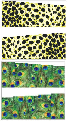 

Jenna Manicure Water Transfer Nail Art Decals Stickers- Sapphire Series NR-309(Multicolor)