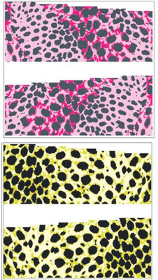 

Jenna Manicure Water Transfer Nail Art Decals Stickers- Sapphire Series NR-293(Multicolor)