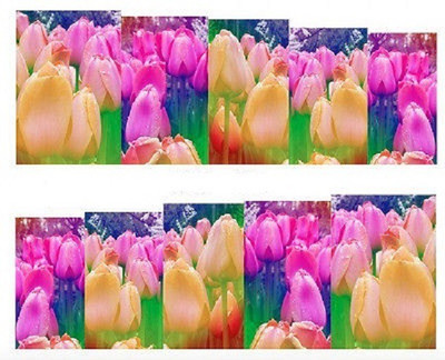 

Azzuro Manicure Water Transfer Nail Art Decals Stickers(Multicolor Flower)