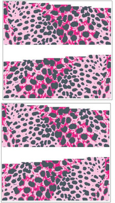 

Jenna Manicure Water Transfer Nail Art Decals Stickers- Sapphire Series NR-291(Multicolor)