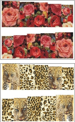 

Jenna Manicure Water Transfer Nail Art Decals Stickers- Sapphire Series NR-122(White)