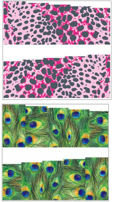 

Jenna Manicure Water Transfer Nail Art Decals Stickers- Sapphire Series NR-296(Multicolor)