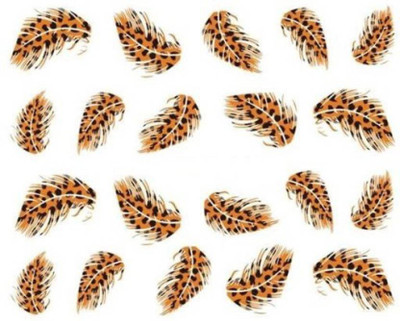 

Azzuro Manicure Water Transfer Nail Art Decals Stickers (1+1 free)(Multicolor)