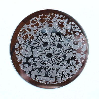 

STZ hehe nail art stamping plate, 81.(steel)