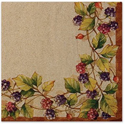 45% OFF on Beistle Blackberry Luncheon Napkins Multicolor Napkins(20 Sheets) 45% OFF on Beistle Blackberry Luncheon Napkins Multicolor Napkins(20 Sheets)