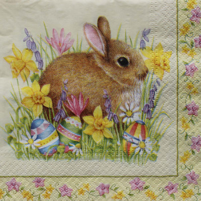 

Tootpado Tissue Paper Decoupage 33 x 33 cm (Pack of 20) - Animal Rabbit Design (1l1318) - Decoration Party Napkin for Art & Craft Supplies Multicolor Napkins(20 Sheets)
