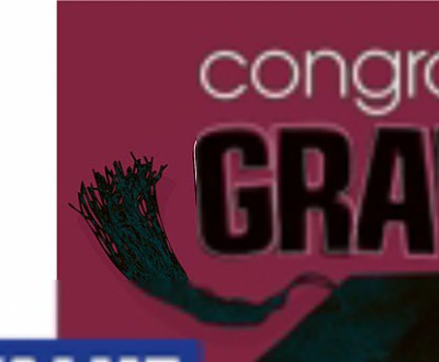 

Creative Converting Congrats Graduate Graduation Beverage Multicolor Napkins(16 Sheets)