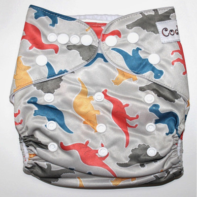 

Coddle Pocket Cloth Diaper plus a Microfiber Insert- Dinasaurs, Multicolor