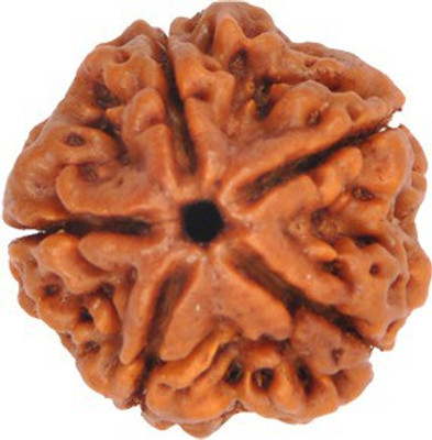 Narayan Religious Shopee 5 Mukhi Rudraksha from Nepal Silk Dori