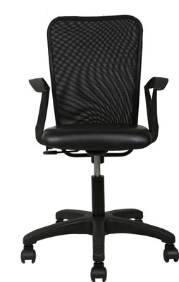 

The Furniture Store Fabric Office Arm Chair(Black)